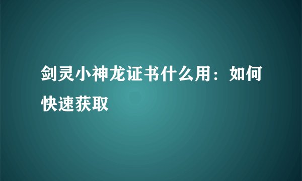 剑灵小神龙证书什么用:如何快速获取