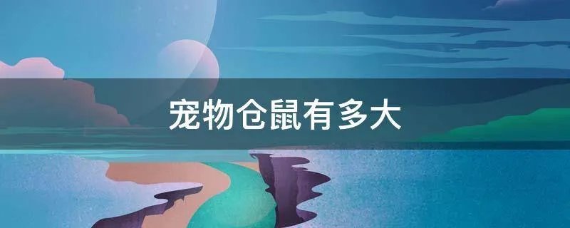 宠物仓鼠有多大