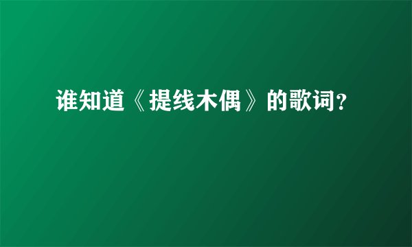 谁知道《提线木偶》的歌词？