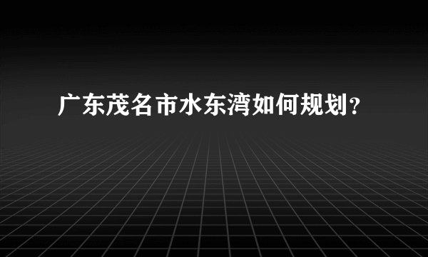 广东茂名市水东湾如何规划?