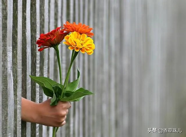 为什么说春天是恋爱的季节?