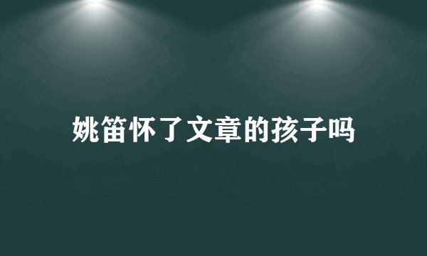 姚笛怀了文章的孩子吗
