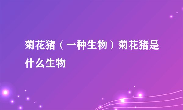 菊花猪(一种生物)菊花猪是什么生物