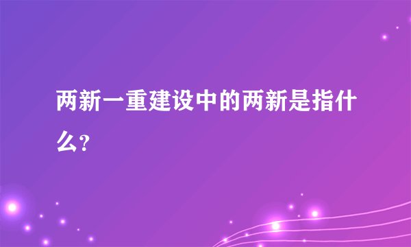 两新一重建设中的两新是指什么？