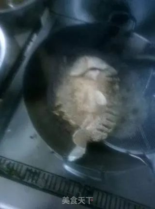 诸葛烤鱼