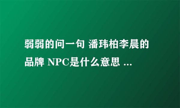 弱弱的问一句 潘玮柏李晨的品牌 NPC是什么意思 全称是？