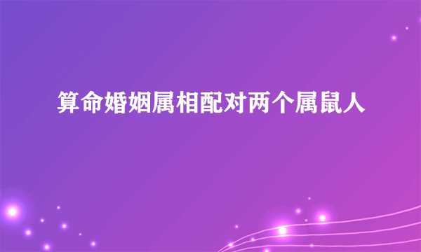 算命婚姻属相配对两个属鼠人
