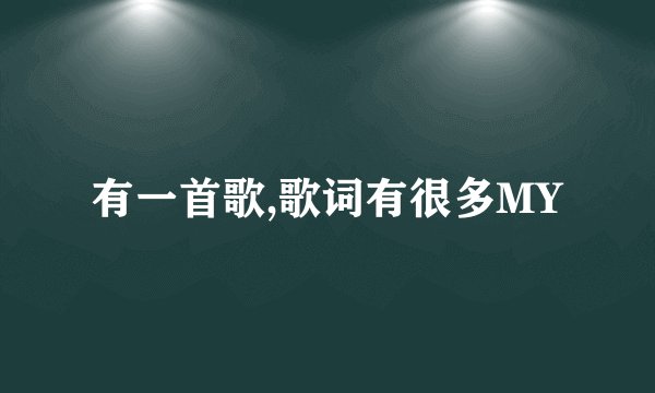 有一首歌,歌词有很多MY