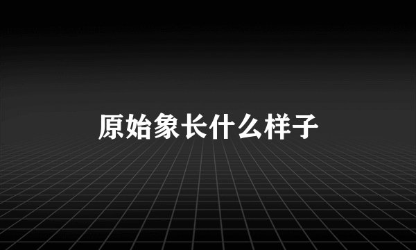 原始象长什么样子