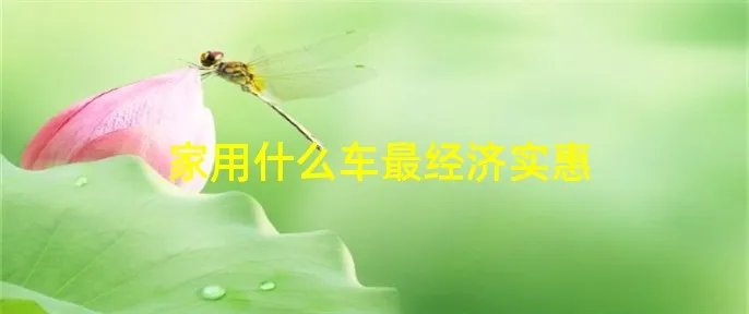 家用什么车最经济实惠