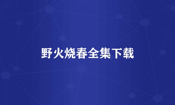 野火烧春全集下载