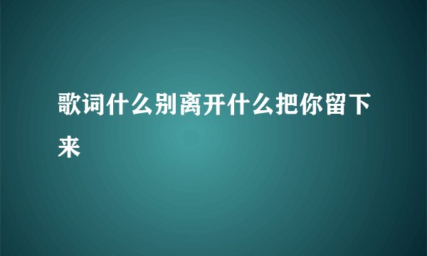 歌词什么别离开什么把你留下来