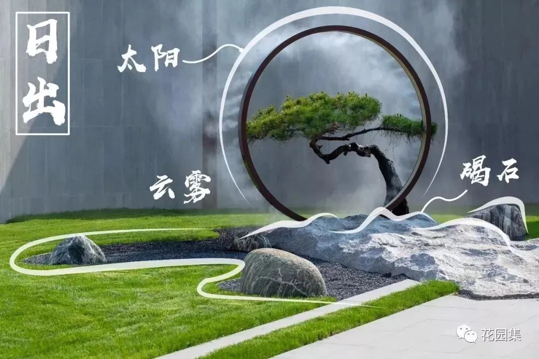 造型松,无奇不自由!气质庭院必备元素