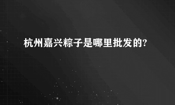 杭州嘉兴粽子是哪里批发的?