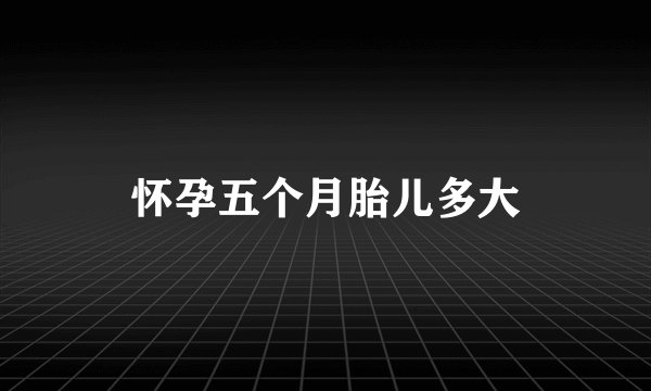 怀孕五个月胎儿多大
