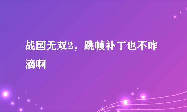 战国无双2,跳帧补丁也不咋滴啊