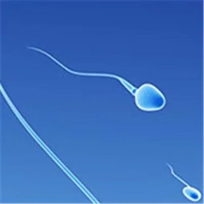 同房后几天能测出怀孕?