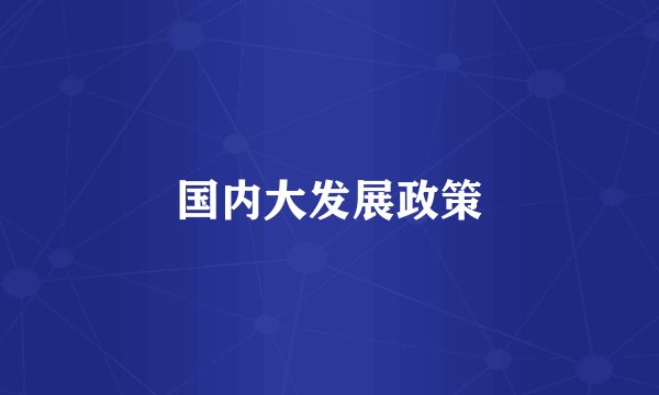 国内大发展政策