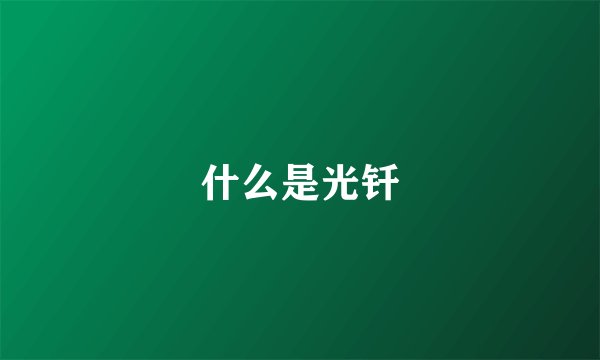 什么是光钎