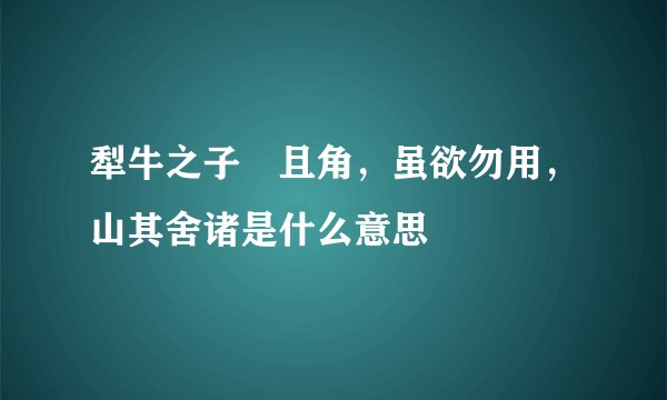 犁牛之子骍且角，虽欲勿用，山其舍诸是什么意思