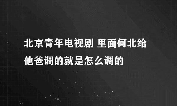 北京青年电视剧 里面何北给他爸调的就是怎么调的