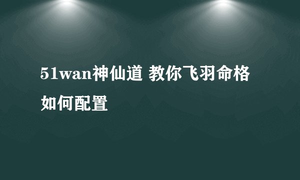 51wan神仙道 教你飞羽命格如何配置
