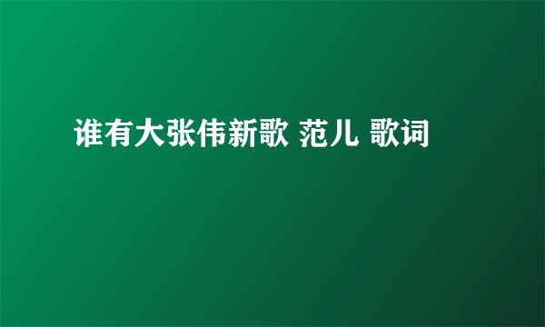 谁有大张伟新歌 范儿 歌词