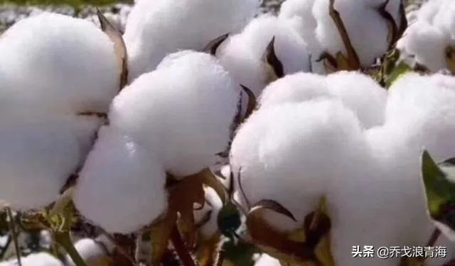 想问下,有哪些吸汗棉袜价格不是很贵的?能在网上购买?