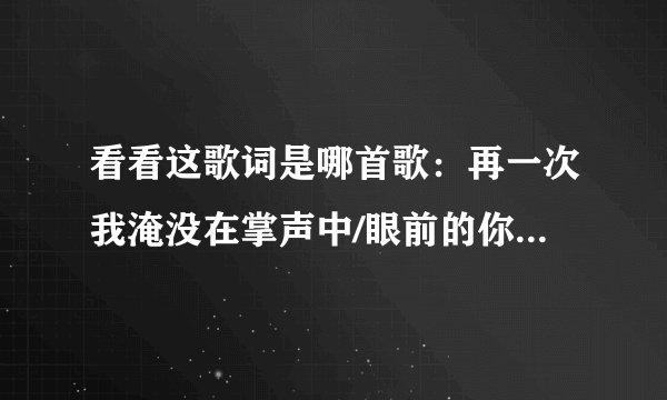 看看这歌词是哪首歌：再一次我淹没在掌声中/眼前的你竟如此激动/黑暗中