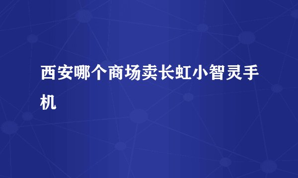 西安哪个商场卖长虹小智灵手机