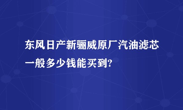 东风日产新骊威原厂汽油滤芯一般多少钱能买到?