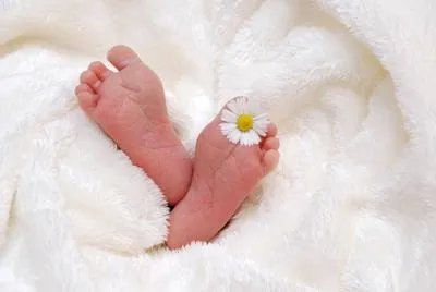 新生儿红疹子什么原因引起的