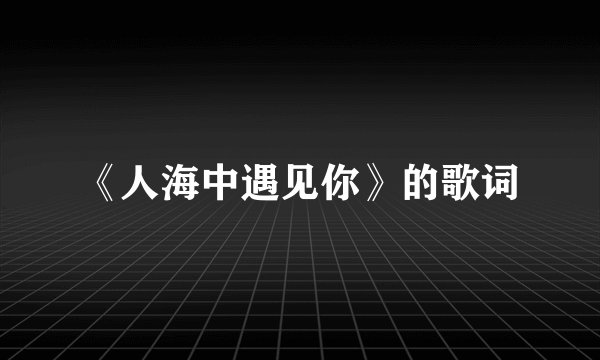 《人海中遇见你》的歌词