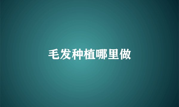 毛发种植哪里做