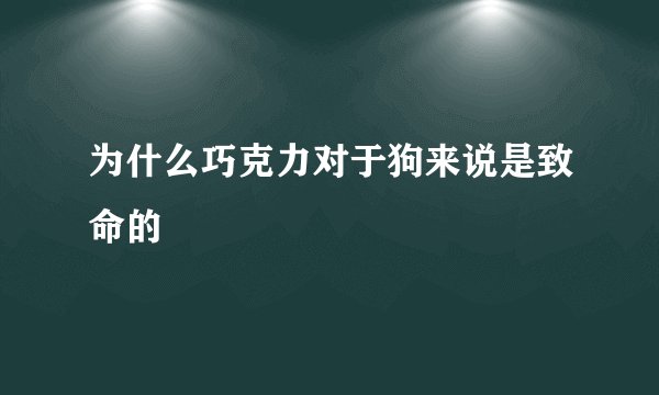为什么巧克力对于狗来说是致命的
