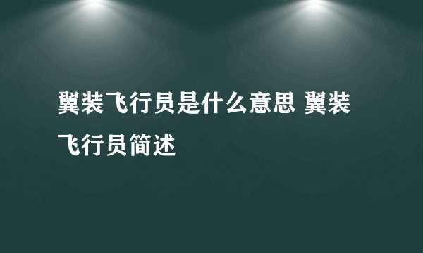 翼装飞行员是什么意思 翼装飞行员简述