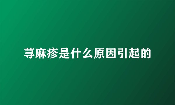 荨麻疹是什么原因引起的