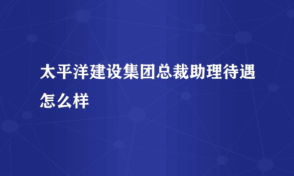太平洋建设集团总裁助理待遇怎么样