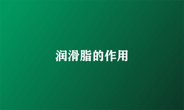 润滑脂的作用