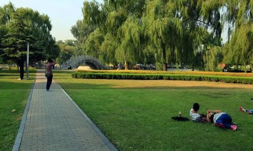 求邢台旅游景点大全排名,哪些比较值得去?