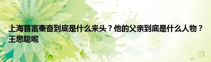 上海首富秦奋到底是什么来头？他的父亲到底是什么人物？王思聪呢