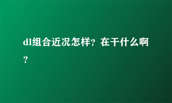 dl组合近况怎样？在干什么啊？