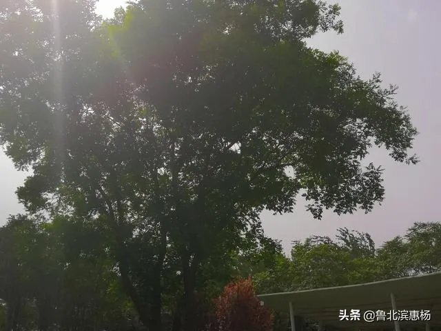 如何运营好一座古城?