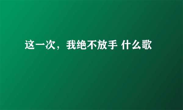 这一次，我绝不放手 什么歌