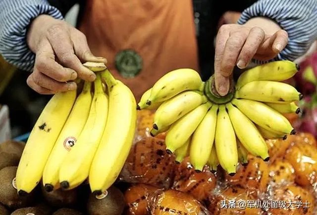 香蕉和芭蕉怎么区别?