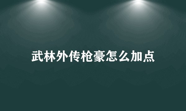 武林外传枪豪怎么加点