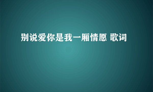 别说爱你是我一厢情愿 歌词
