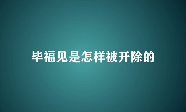 毕福见是怎样被开除的