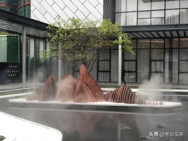 有谁可以帮助分析分析,惠州的中洲半岛城邦的房子特征麽?