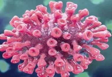 新冠肺炎的早期症状是什么?和感冒区别?